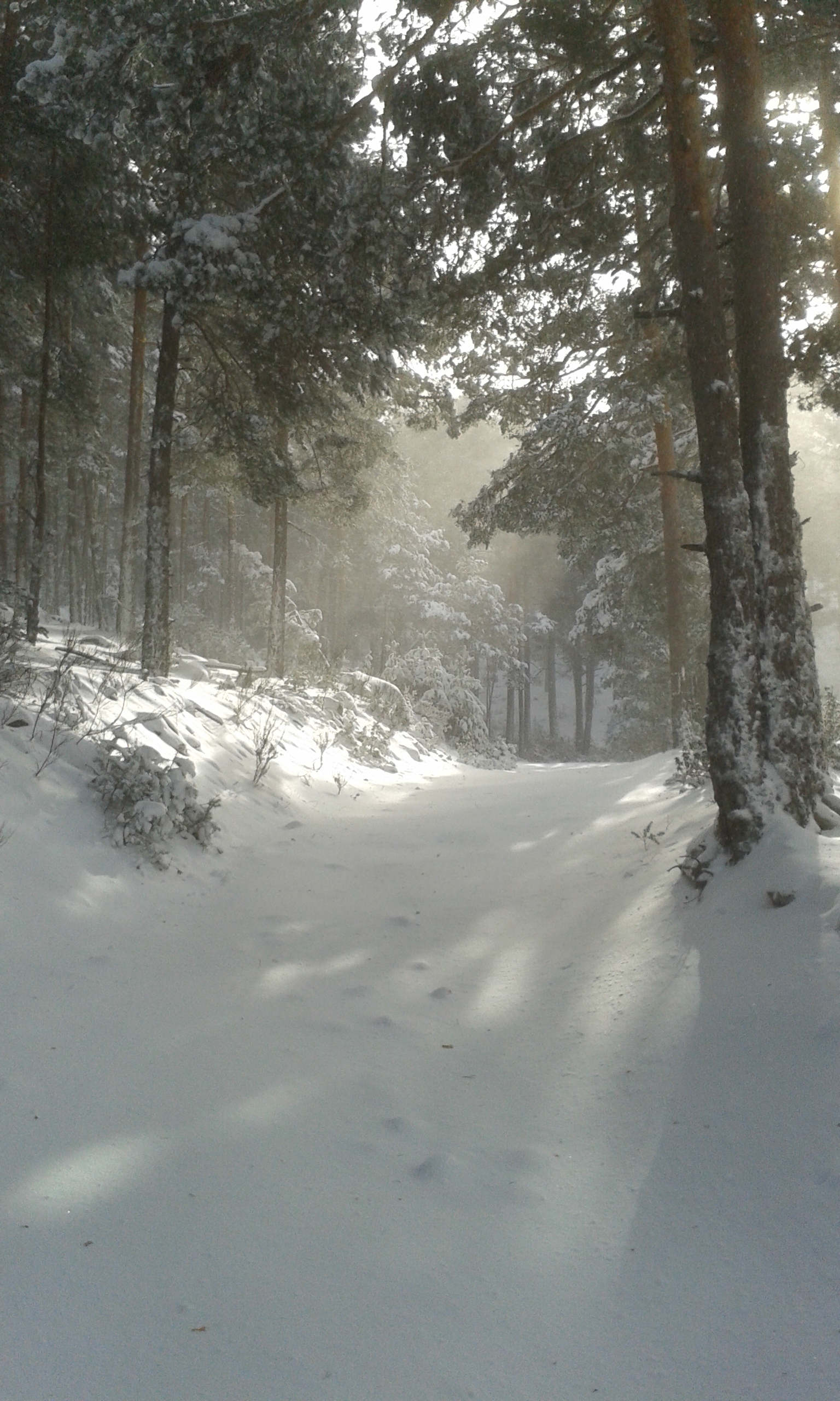 Rutas de raquetas de nieve en toda España